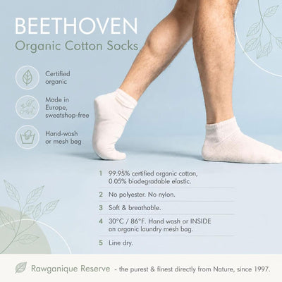 organic cotton no-show socks