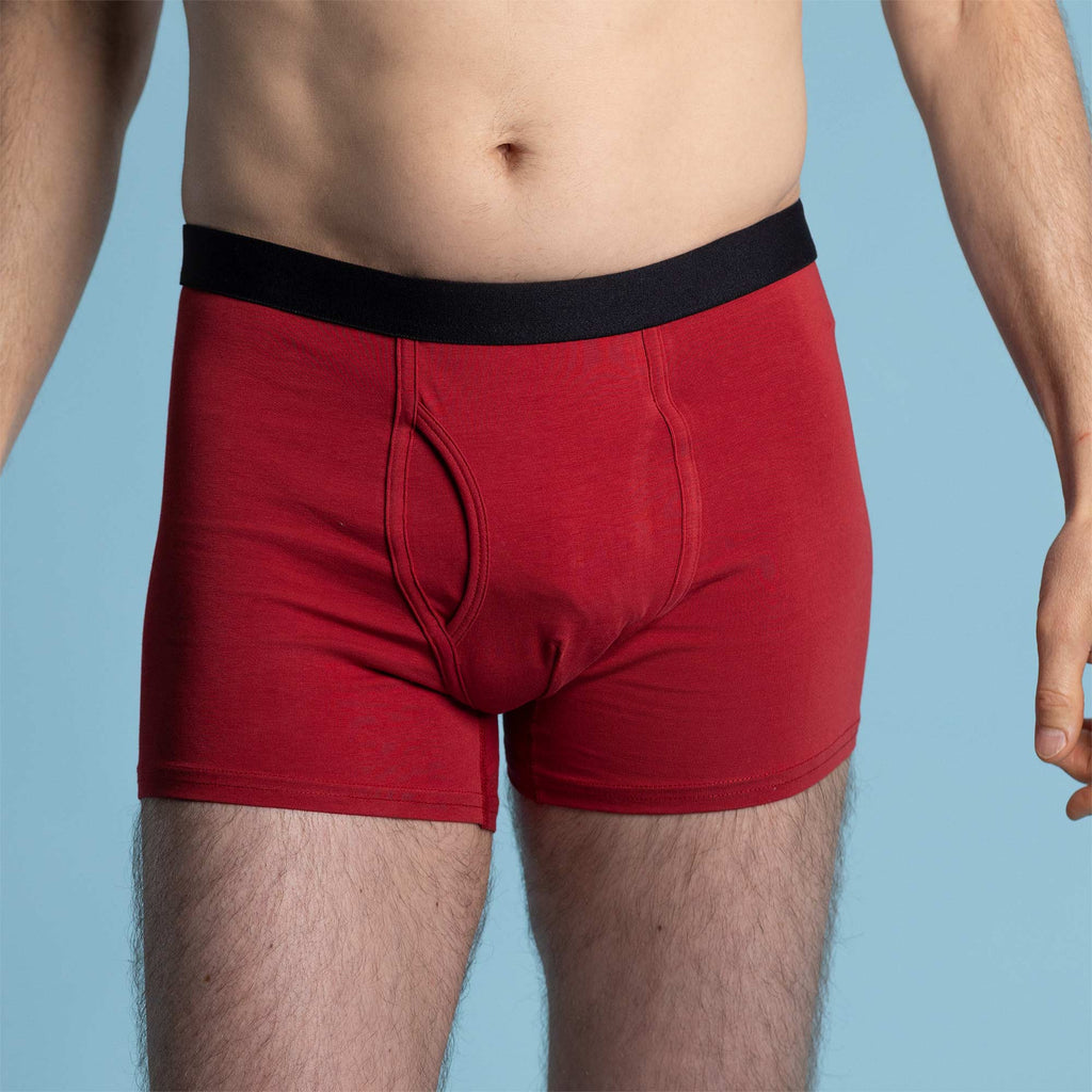 organic cotton boxer briefs