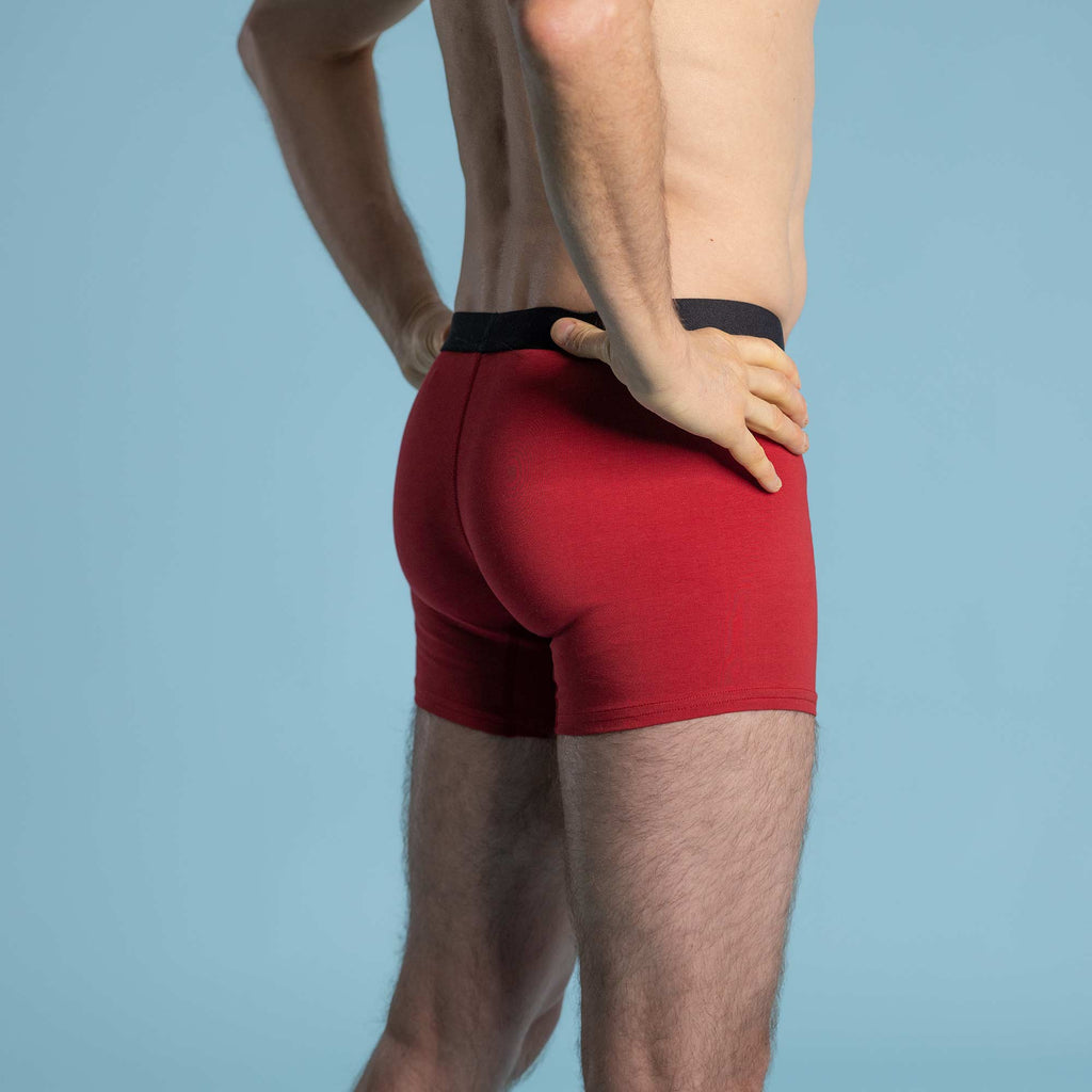 organic cotton boxer briefs