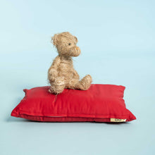 Load image into Gallery viewer, organic cotton pet bed red