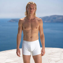 Load image into Gallery viewer, plastic-free 100% organic merino boxer briefs