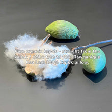 Load image into Gallery viewer, Organic 100% Kapok Fiber For Pillows, Toys, Cushion Stuffing  (One Pound) (100% Biodegradable)