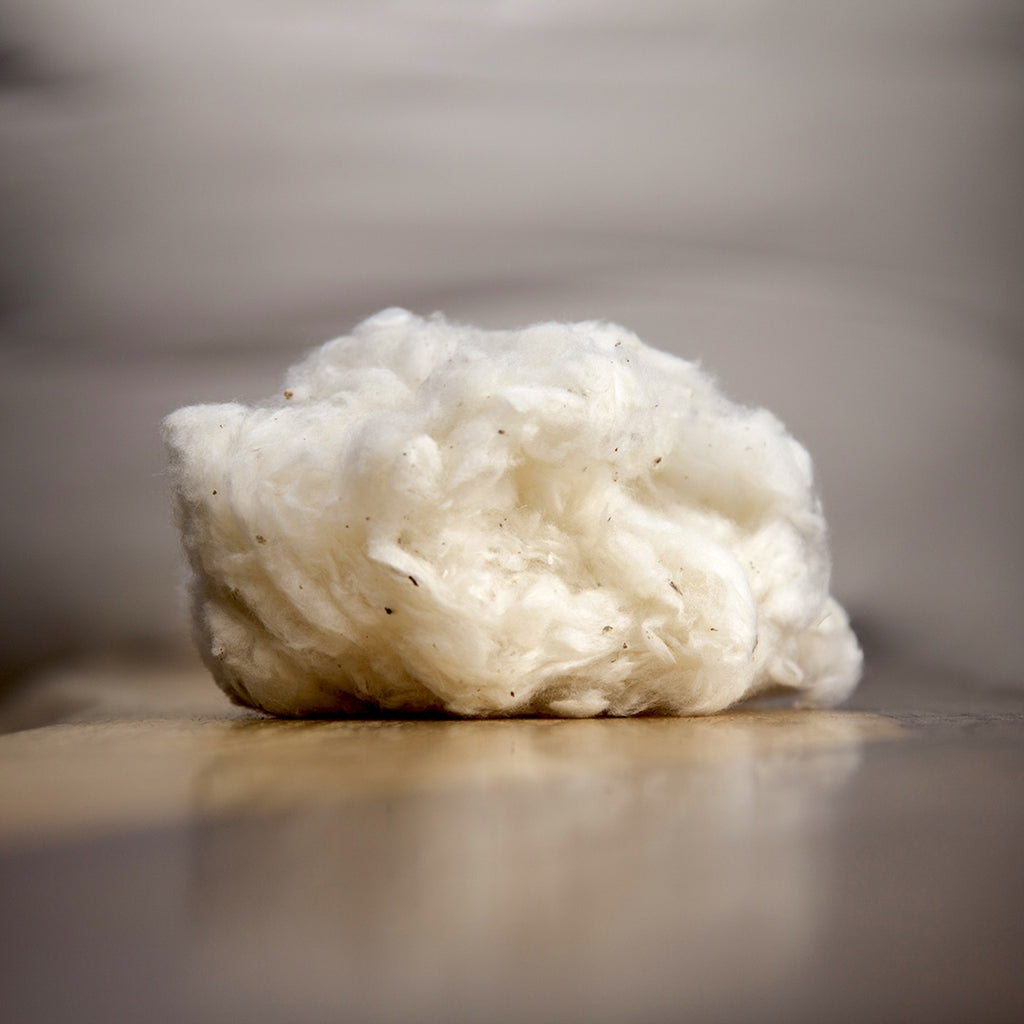 organic cotton batting