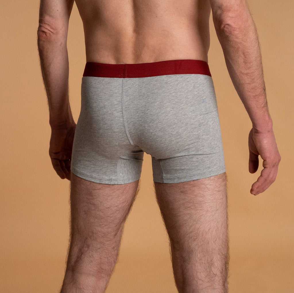 men's organic cotton athletic briefs