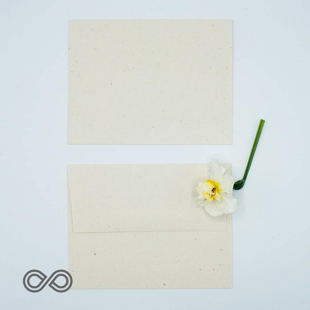Tree-Free Hemp Envelopes
