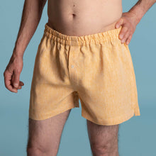Load image into Gallery viewer, organic hemp boxers