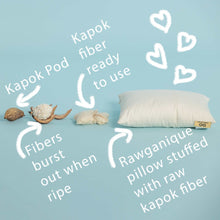 Load image into Gallery viewer, organic kapok pillow