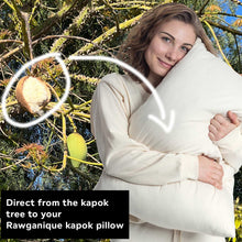 Load image into Gallery viewer, kapok pillow
