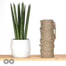 Load image into Gallery viewer, LR6A 6mm Flax Linen Rope (1kg Roll) (100% Biodegradable)