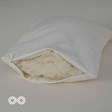 Load image into Gallery viewer, buckwool pillow