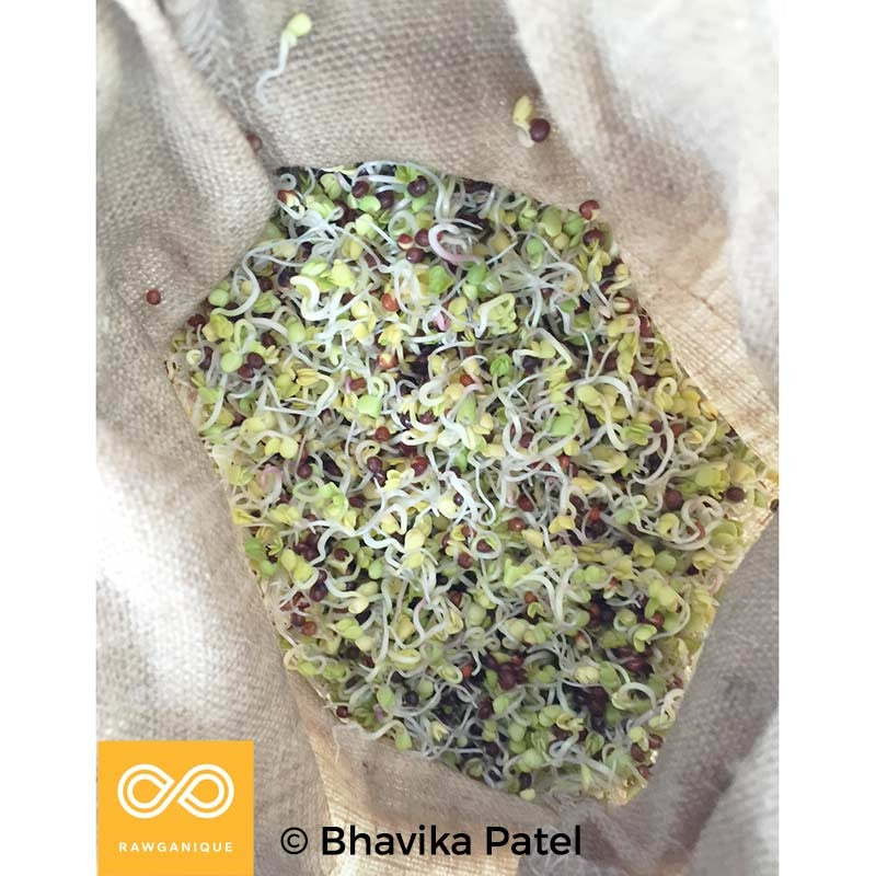 100% Hemp Sprouting Bag - Nut Milk Bag (100% Biodegradable)