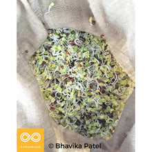 Load image into Gallery viewer, 100% Hemp Sprouting Bag - Nut Milk Bag (100% Biodegradable)