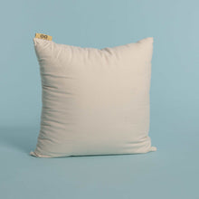 Load image into Gallery viewer, organic throw pillow