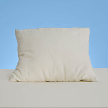 Load image into Gallery viewer, wool pillow
